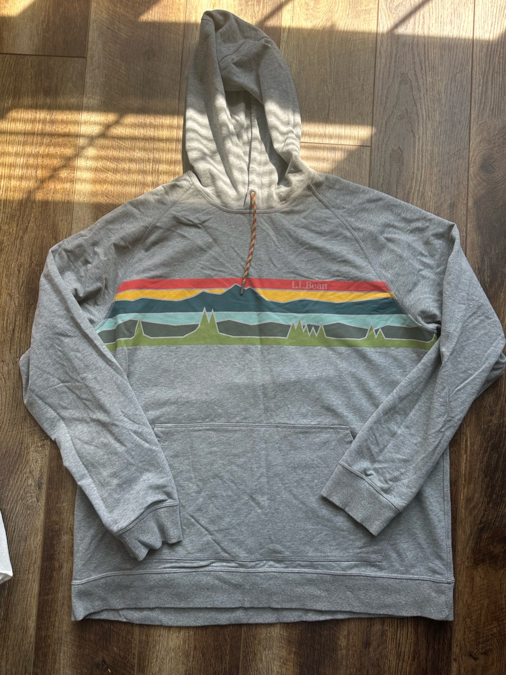 LL Bean Grey Mountain Logo Graphic Hoodie sweatshirt-size XXL tall slightly fitt